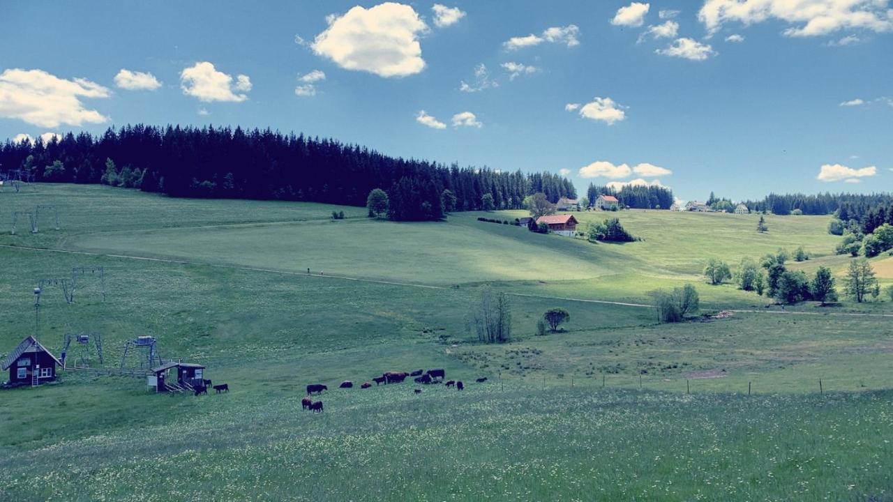 Daheim Im Hirschen Appartement Schönwalde Buitenkant foto